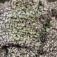 Трикотаж зимний розово-оливковое букле Missoni