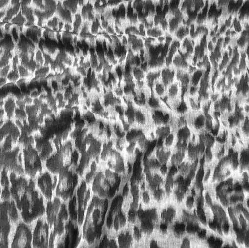 Ткань пальтовая с ворсом серо-черный леопард 