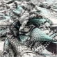 Шелк шифон дизайн Cavalli жемчужные украшения на бирюзовом фоне