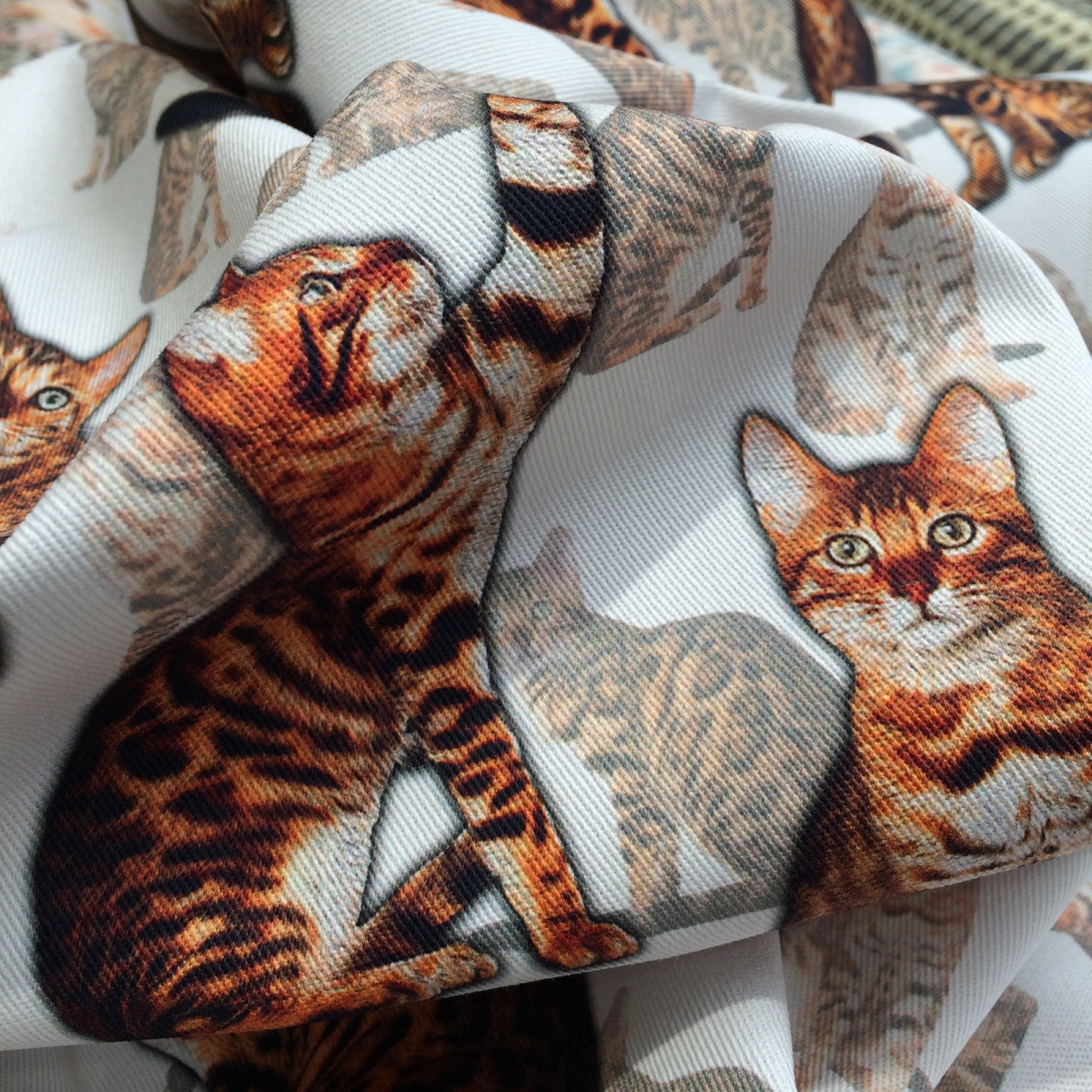 Ткань кошки купить. Ткань с котами. Ткань с кошечками. Ткань с принтом коты. Ткани с принтом животных.