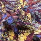 Шелк креповый принт Blumarine акварельная цветочная поляна