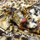 Шёлк креп стрейч принт Versace большой платок с ремнями и цепями 